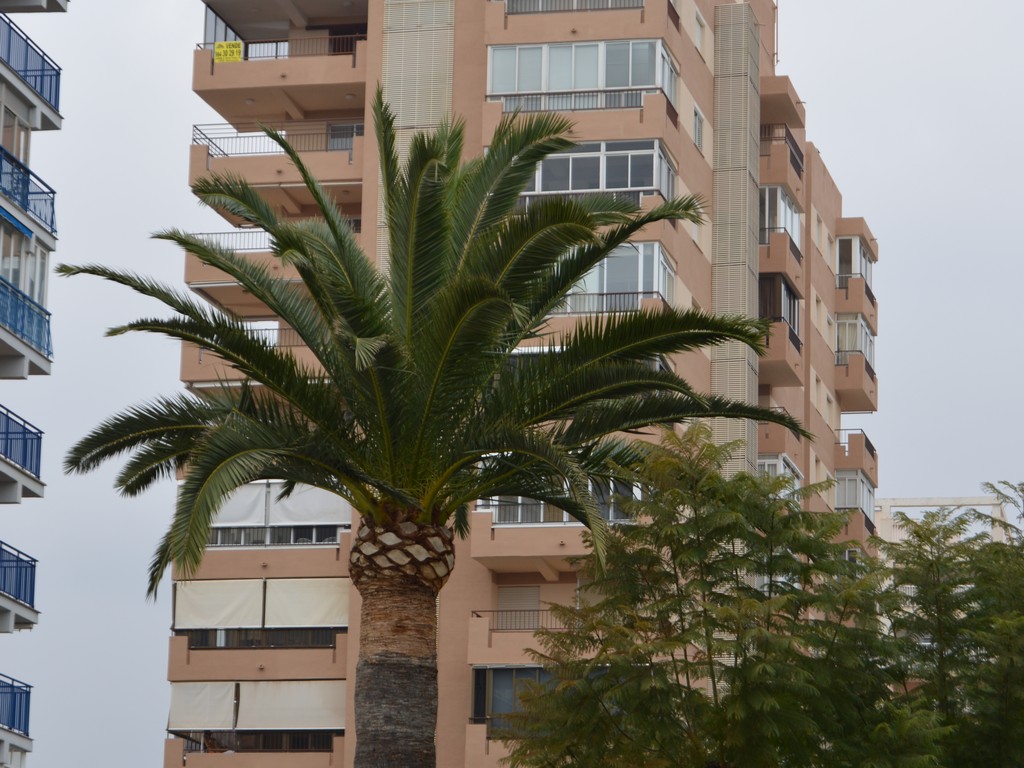 Rehabilitación de fachadas en Castellón